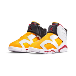 Jordan Air Jordan 6