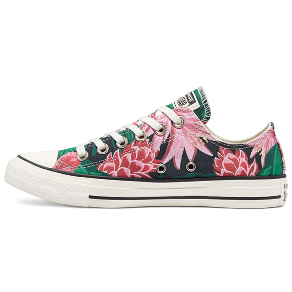 Converse Chuck Taylor All Star Low