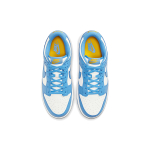 Nike Dunk "Coast"