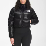 THE NORTH FACE FW22 Urban Exploration Nuptse Short Jacket 700 Logo