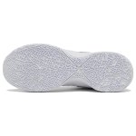 Nike LeBron NXXT Gen Zoom "White Metallic Silver"