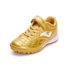 JOMA TF