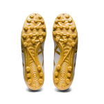 Asics Ds Light Club AG（ ）