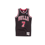 Mitchell & Ness NBA SW 1995-96 7