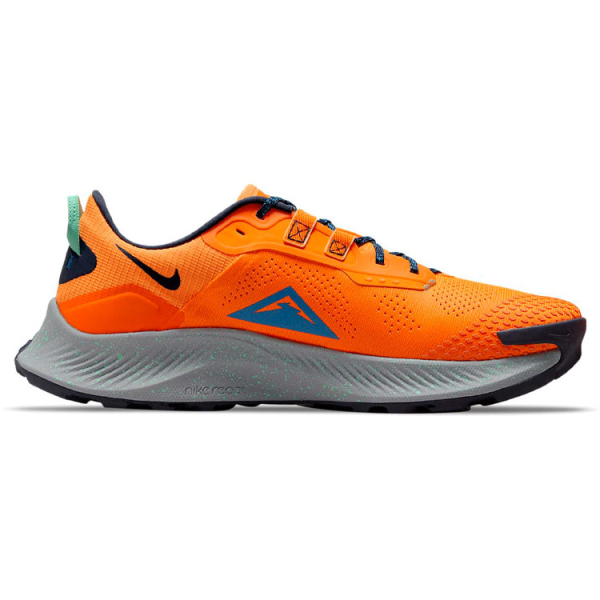 Nike Pegasus Trail 3