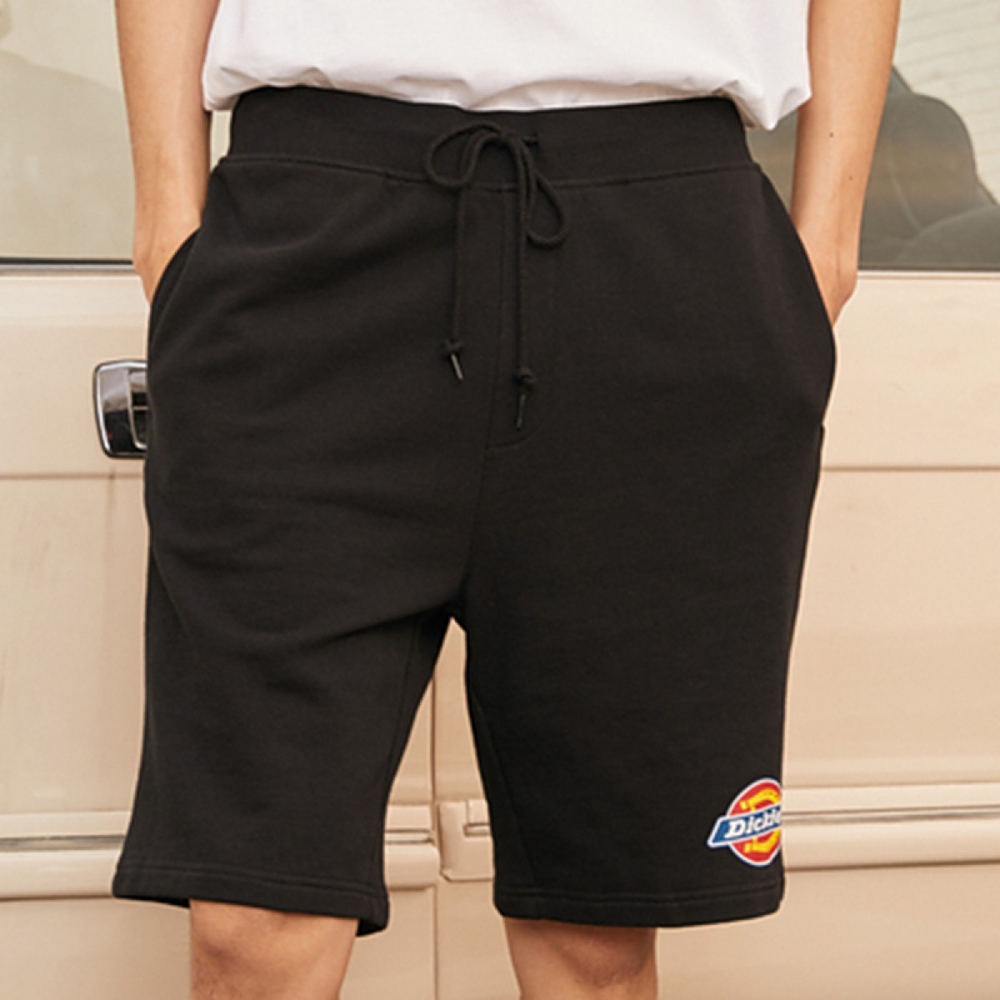 Dickies SS21 logo