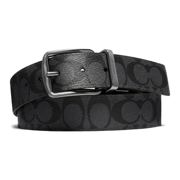 COACH 3.8cm