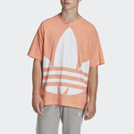 Adidas originals Big Trefoil Boxy Tee Logo T