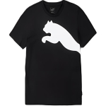 PUMA T