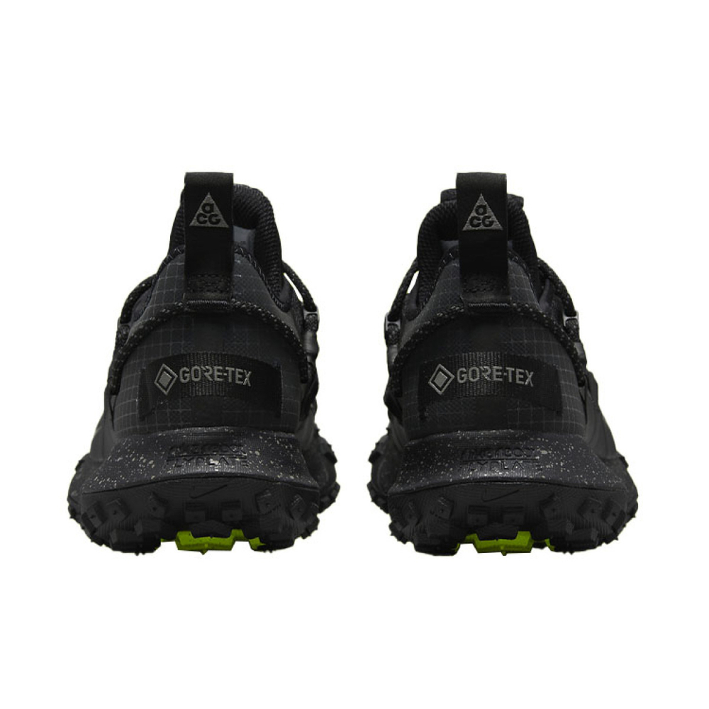 Nike ACG Mountain Fly Low GTX SE