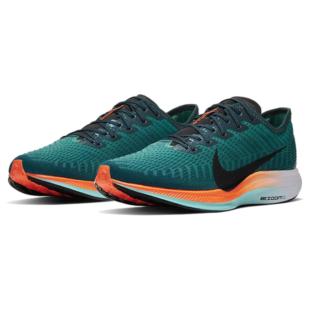 Nike Pegasus turbo 2
