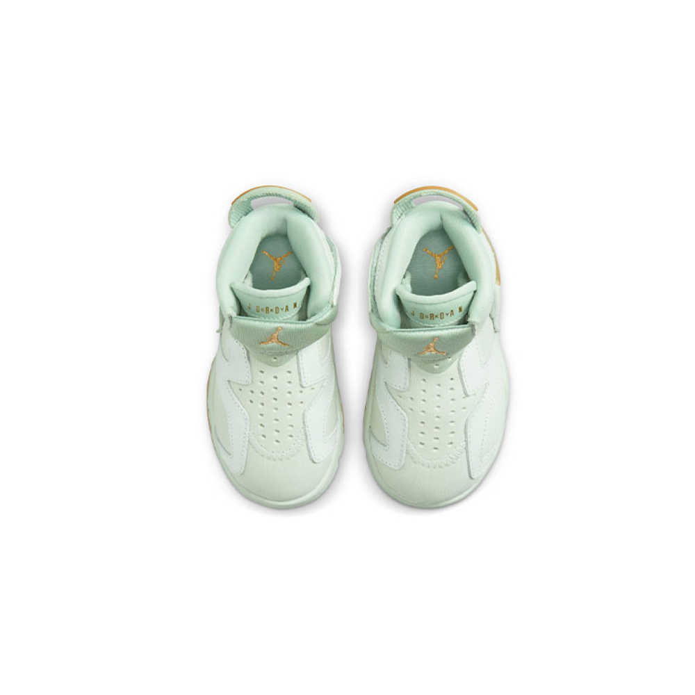 Jordan Air Jordan 6 LTL Flex GC