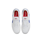 Nike Streetgato IC/IN