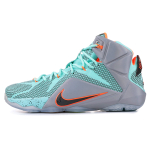 Nike Lebron 12 NSRL