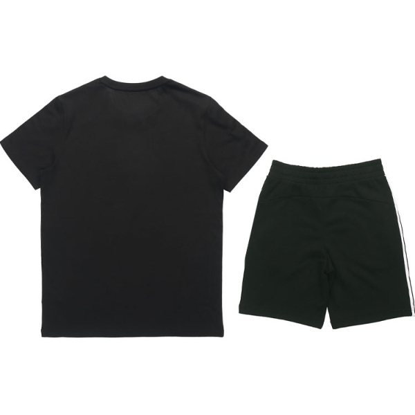 Puma T