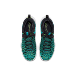Nike KD 9 Birds of Paradise