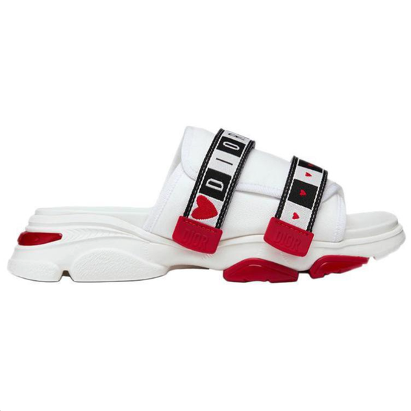 DIOR D-Wander