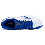 Mizuno Hurricane 3