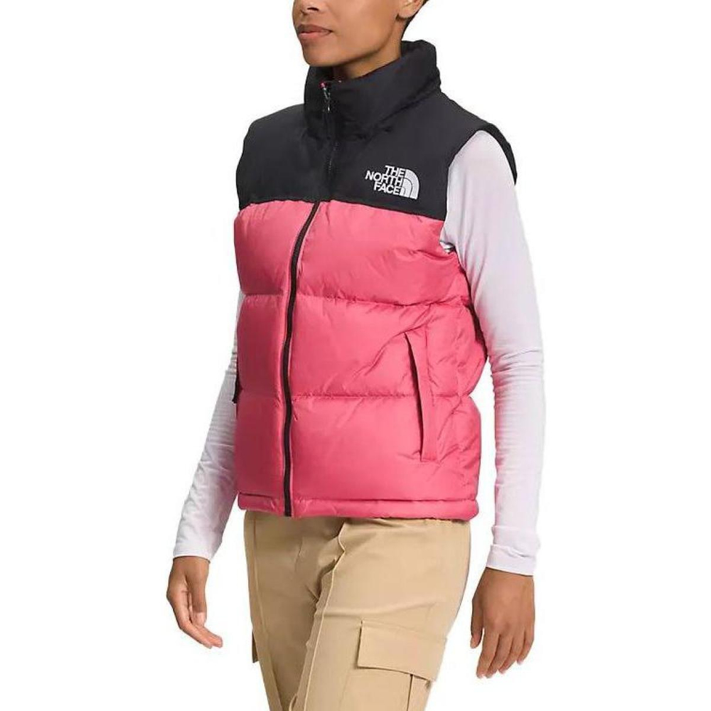 THE NORTH FACE 1996 Logo