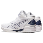 Asics Gel-Hoop V15
