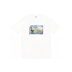Supreme FW22 Week16 Week 16 Dylan Tee T