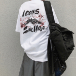 ICONS Lab T