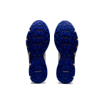 Asics Gel-Venture 6