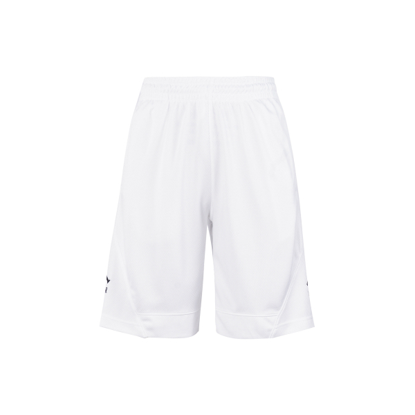 Jordan Air Rise Striped Triangle Logo