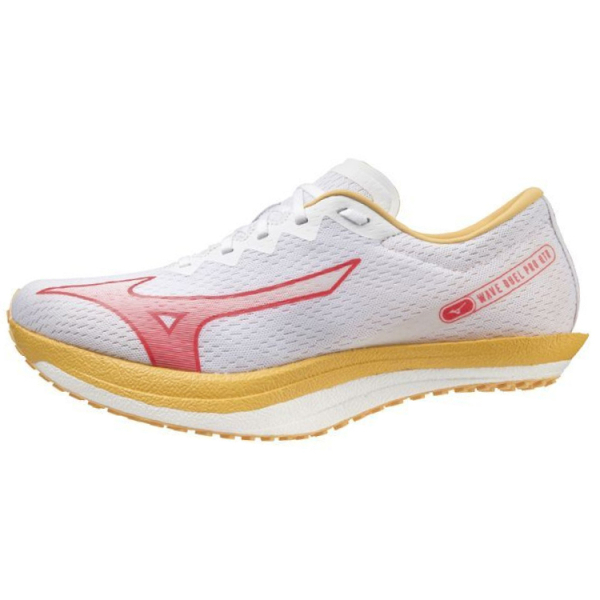 Mizuno Pro
