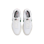 Nike Air Max 1 "All Petals United"