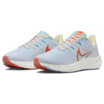 Nike Air Zoom Pegasus 39