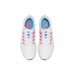 Nike Pegasus 36