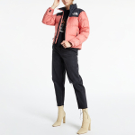 THE NORTH FACE 1996 Retro Nuptse 700
