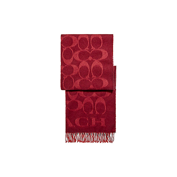 COACH Signature C
