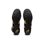 Asics Dan Gable Evo 3