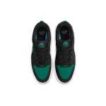 Nike SB Alleyoop