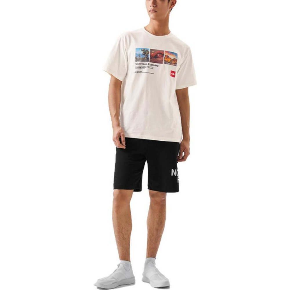 THE NORTH FACE 23SS Logo