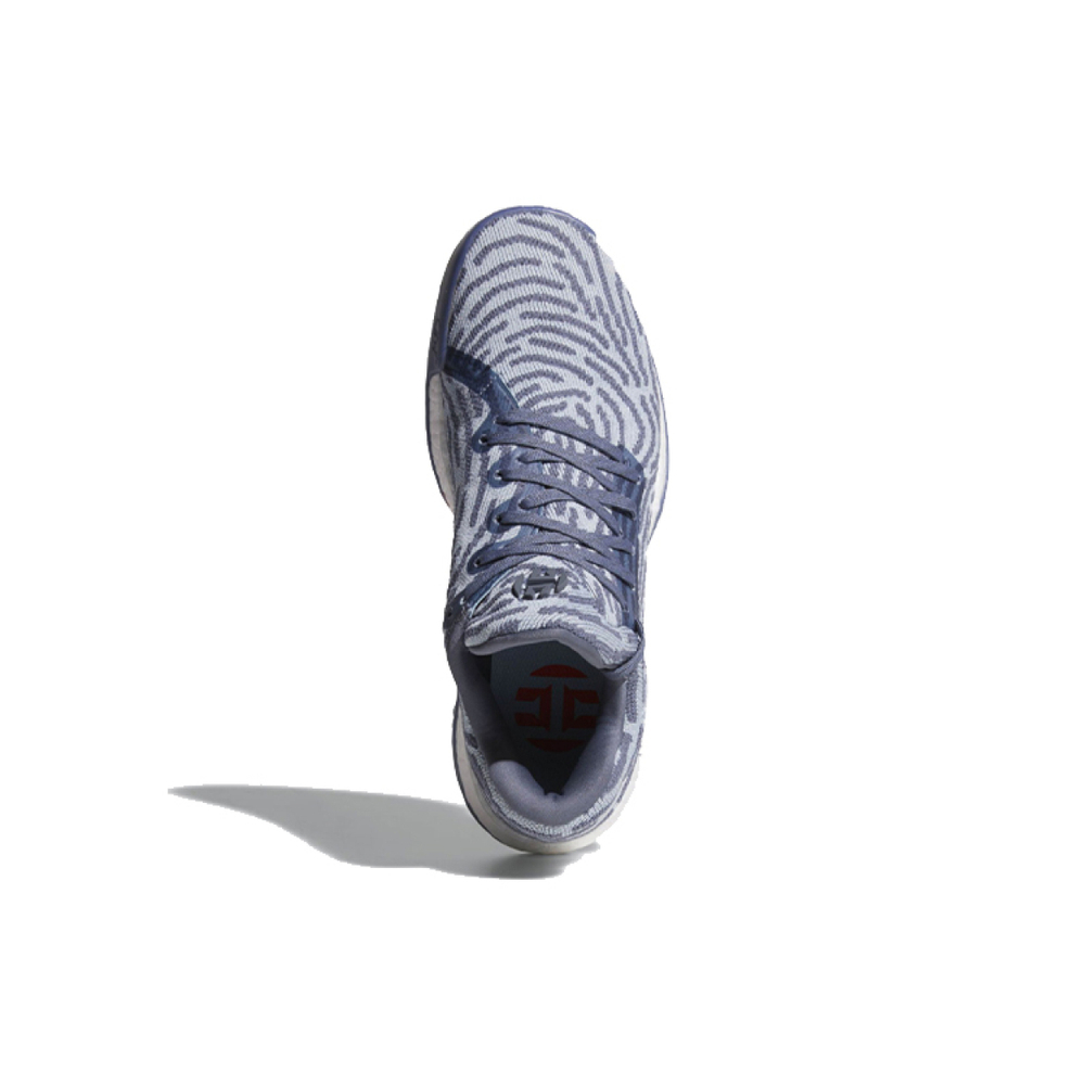 Adidas Harden Vol.1 LS PK 9.5