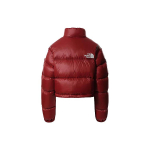 THE NORTH FACE Logo
