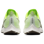 Nike Pegasus 36