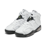 Jordan Air Jordan 6 “Alligator”