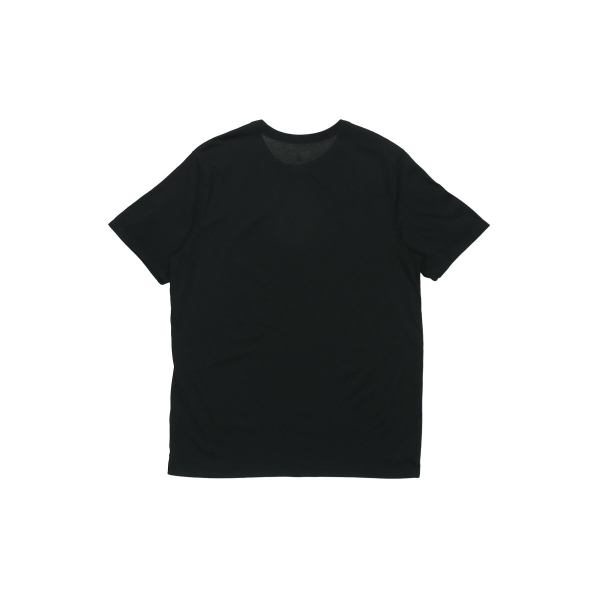 Jordan Iconic T