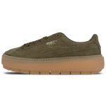 PUMA Platform Trace