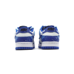 【 】 Nike Dunk