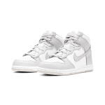 Nike Dunk Vast Grey