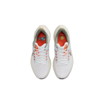 Nike Air Zoom Pegasus 39