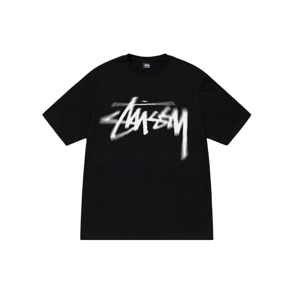 Stussy FW23 DIZZY STOCK TEE T