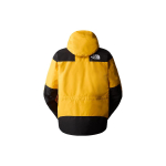 /THE NORTH FACE GTX mountain jacket