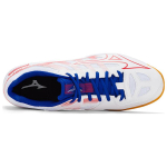 Mizuno Gate Sky Plus2