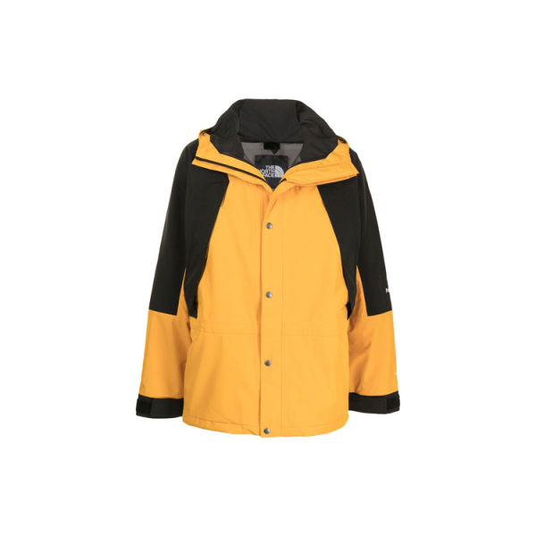 THE NORTH FACE Retro Mountain Light Futurelight